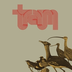Traum Traum (Colv) vinyl LP