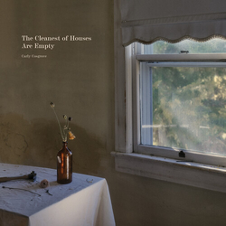 Carly Cosgrove Cleanest Of Houses Are Empty VINYL LP