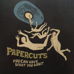 Papercuts You Can Have What You Want VINYL LP