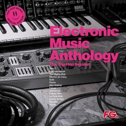 Electronic Music Anthology Trip Hop Sessions Electronic Music Anthology Trip Hop Sessions vinyl LP