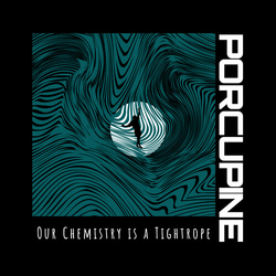 Porcupine Our Chemistry Is A Tightrope VINYL LP