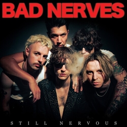 Bad Nerves Still Nervous (Ogv) vinyl LP