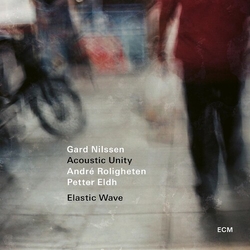 Gard Acoustic Unity Nilssen Elastic Wave  VINYL LP