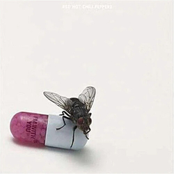 Red Hot Chili Peppers Im With You (Arg) VINYL LP