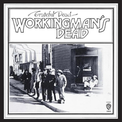 Grateful Dead Workingmans Dead (Arg) VINYL LP