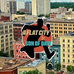 Son Of Dave Flat City VINYL LP