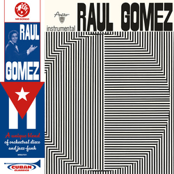 Raul Gomez Raul Gomez VINYL LP