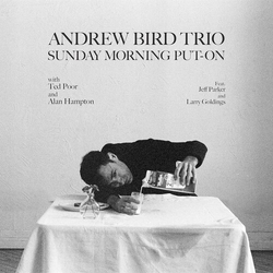 Andrew Bird Sunday Morning Put-On VINYL LP