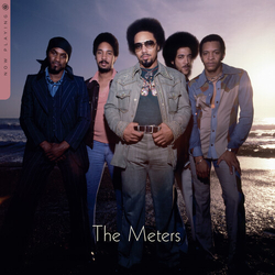 Meters Now Playing VINYL LP