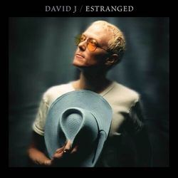 David J Estranged (Blue) (Bonus Track) (Colv) (Reis) vinyl LP