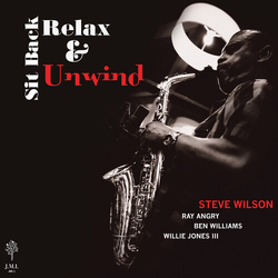 Steve Wilson Sit Back Relax & Unwind VINYL LP