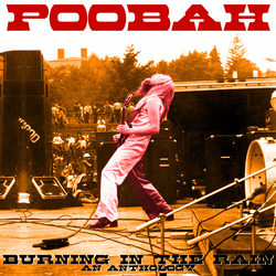 Poobah Burning In The Rain An Anthology VINYL LP