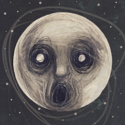 Steven Wilson Raven That Refused To Sing (Aniv) vinyl LP