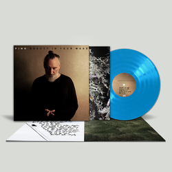 Fink Beauty In Your Wake - Cornish Blue (W Book) (Blue) vinyl LP
