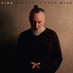 Fink Beauty In Your Wake (W Book) (Blk) vinyl LP