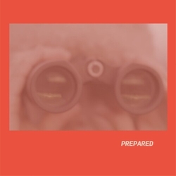 Laura J Martin Prepared - Rose Pink VINYL VINYL LP
