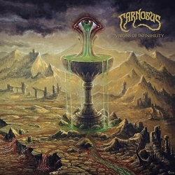 Camosus Visions Of Infinihility vinyl LP