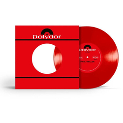 Paul Weller Soul Wandering Rise Up Singing VINYL LP