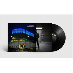Richard Hawley In This City They Call You Love (Uk) vinyl LP