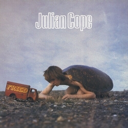 Julian Cope Fried (Ogv) (Uk) vinyl LP
