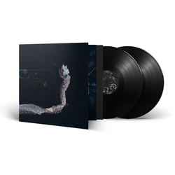 Tenhi Maaaet (Bonus Tracks) VINYL LP
