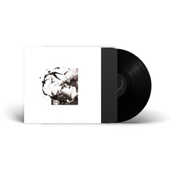 Tenhi Airut Aamujen VINYL LP