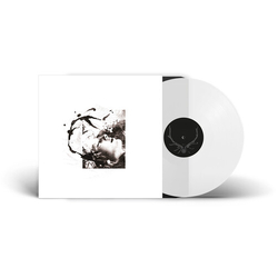 Tenhi Airut Aamujen VINYL LP