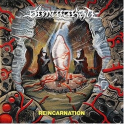 Simulakra Reincarnation (Colv) vinyl 12