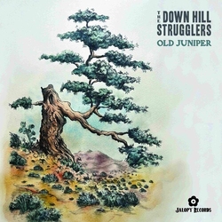 Down Hill Strugglers Old Juniper VINYL LP