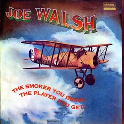 Joe Walsh The Smoker You Drink, The Player You Get VINYL LP