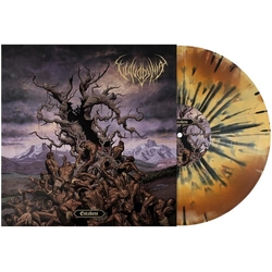 Vulvodynia Entabeni (Colv) (Spla) vinyl LP