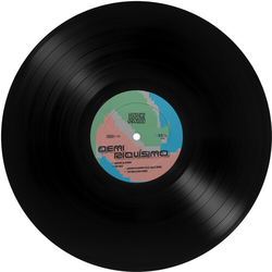 Demi Riguisimo Windows 95 Anthem VINYL 12INCH