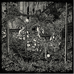 Jake Long City Swamp (Uk) vinyl LP