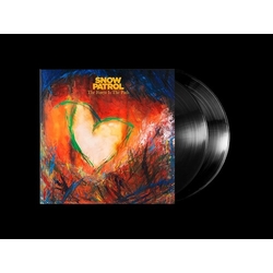 Snow Patrol Forest Is The Path VINYL LP