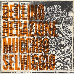 Declino Negazione Mucchio Selvaggio  VINYL LP