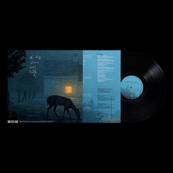 Dermot Kennedy Ive Told The Trees Everything VINYL LP