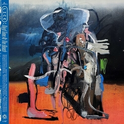 Lice Third Time At The Beach vinyl LP