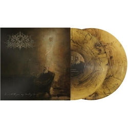 Wake In Providence Write To You My Darling Decay VINYL LP