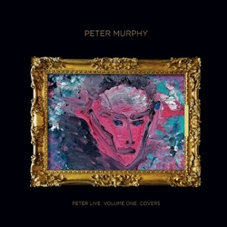 Peter Murphy Peter Live Volume One Covers VINYL LP
