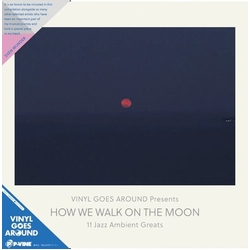 How We Walk On The Moon Various How We Walk On The Moon Various VINYL LP