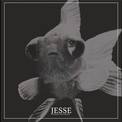 Jesse Complete Discography vinyl LP