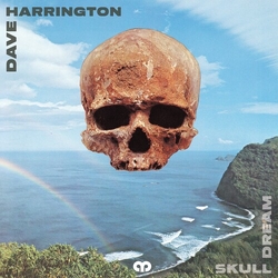 Dave Harrington Skull Dream vinyl LP
