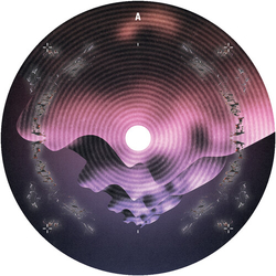 Alex Stein Chant vinyl 12