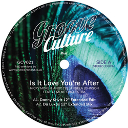 Micky More Is It Love Youre After VINYL 12INCH