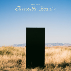 Walker Lukens Accessible Beauty VINYL LP