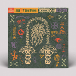 Jinje & A Brief Utopia We Invisible VINYL LP