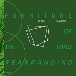 Black Diamond Furniture Of Mind Rearranging vinyl LP