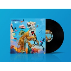 Degiheugi Degiheugi Orchestra (Aus) vinyl LP