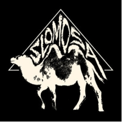 Slomosa Slomosa (Trq) (Uk) vinyl LP
