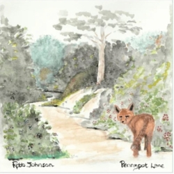 Robb Johnson Pennypot Lane VINYL LP